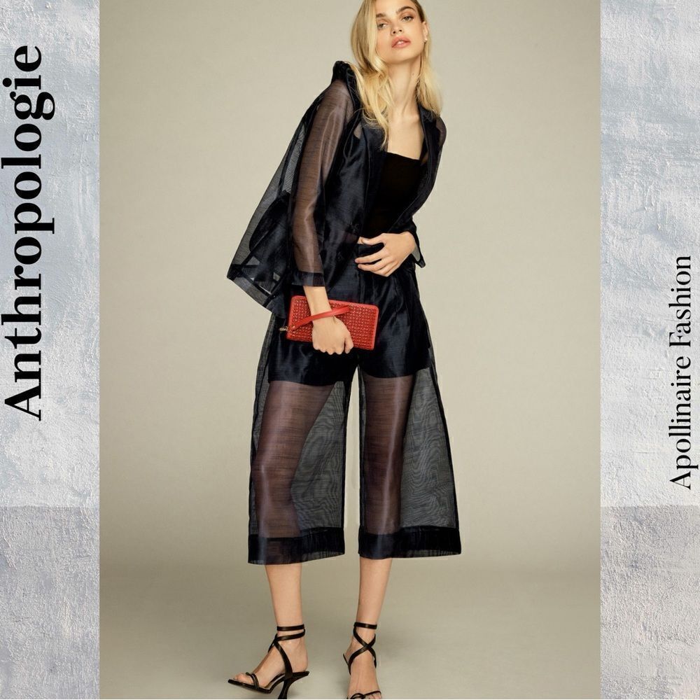 ANTHROPOLOGIE BY DOLAN SHEER CROPPED CULOTTES PANTS IN NAVY XL NEW